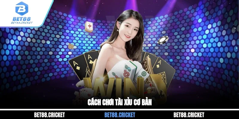 Cách chơi tài xỉu cơ bản