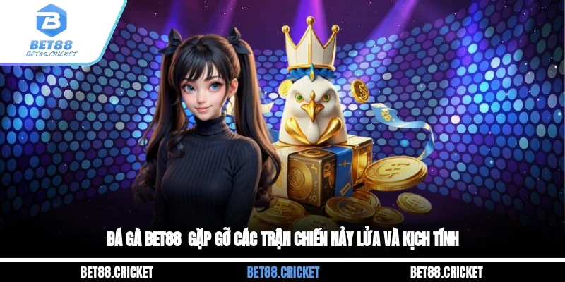 Đá Gà BET88 - Gặp Gỡ Các Trận Chiến Nảy Lửa Và Kịch Tính